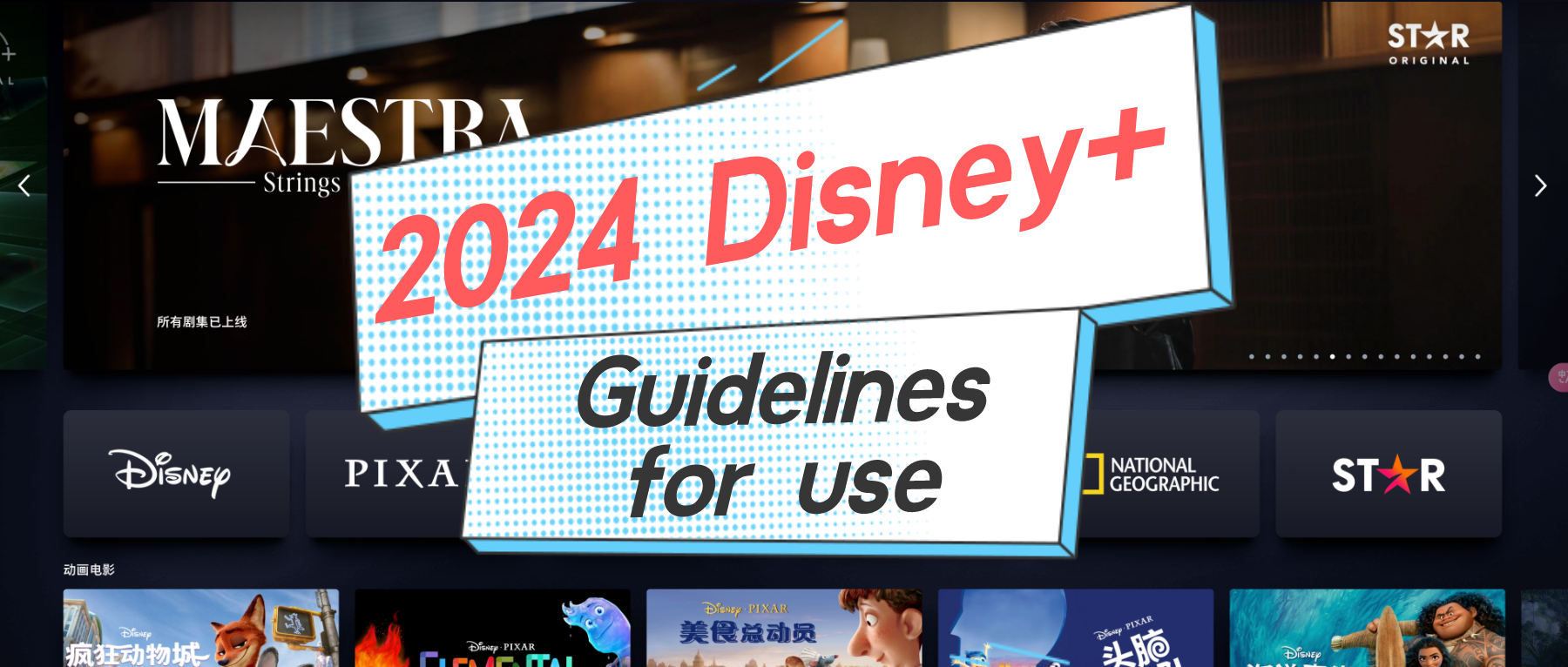 2024 Disney+ guidelines to use